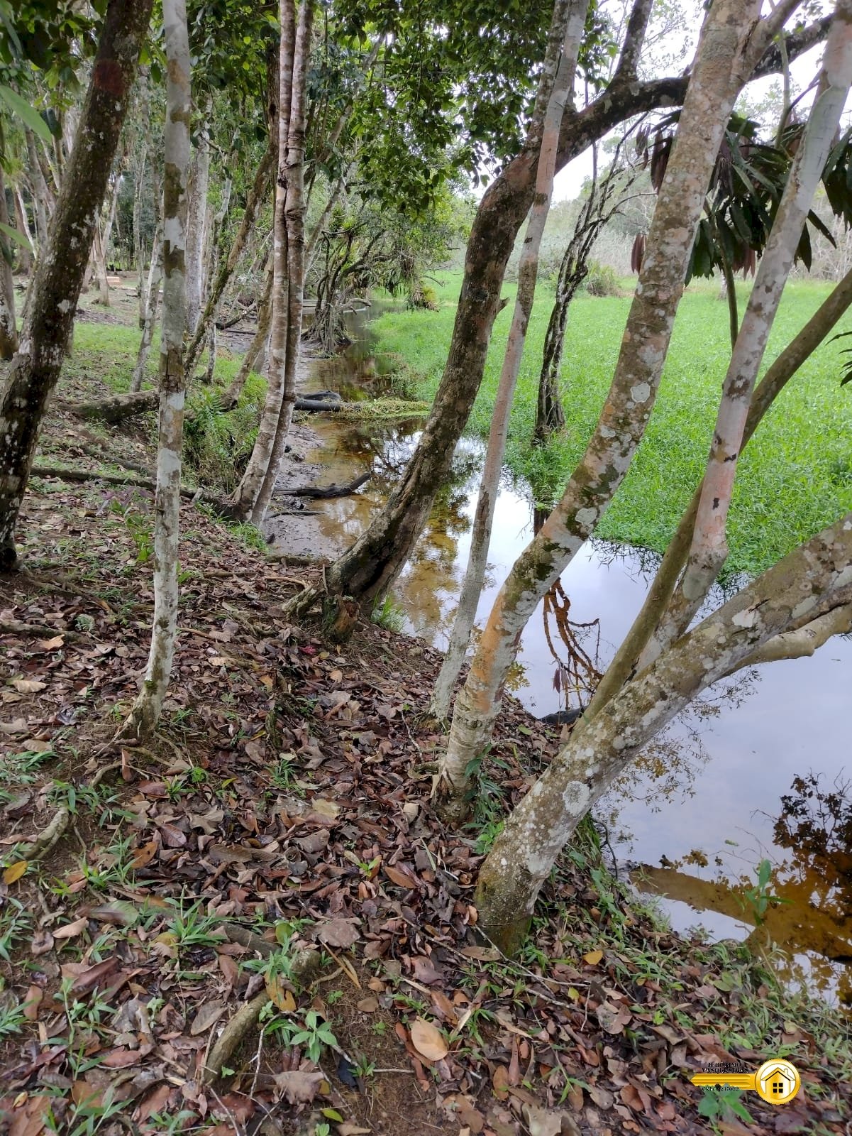 Imagem imóvel CHÁCARA