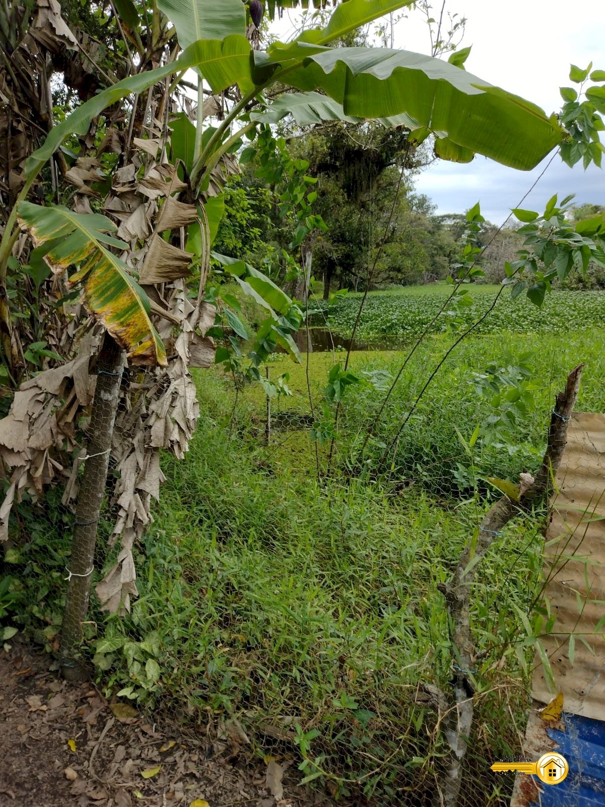 Imagem imóvel CHÁCARA