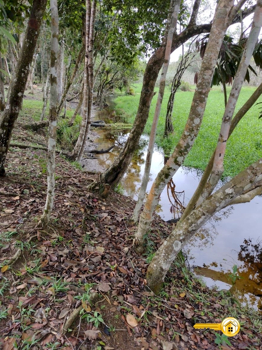 Imagem imóvel Chácara com Casa