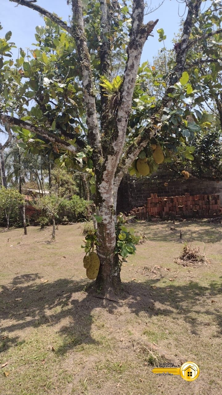 Imagem imóvel Chácara