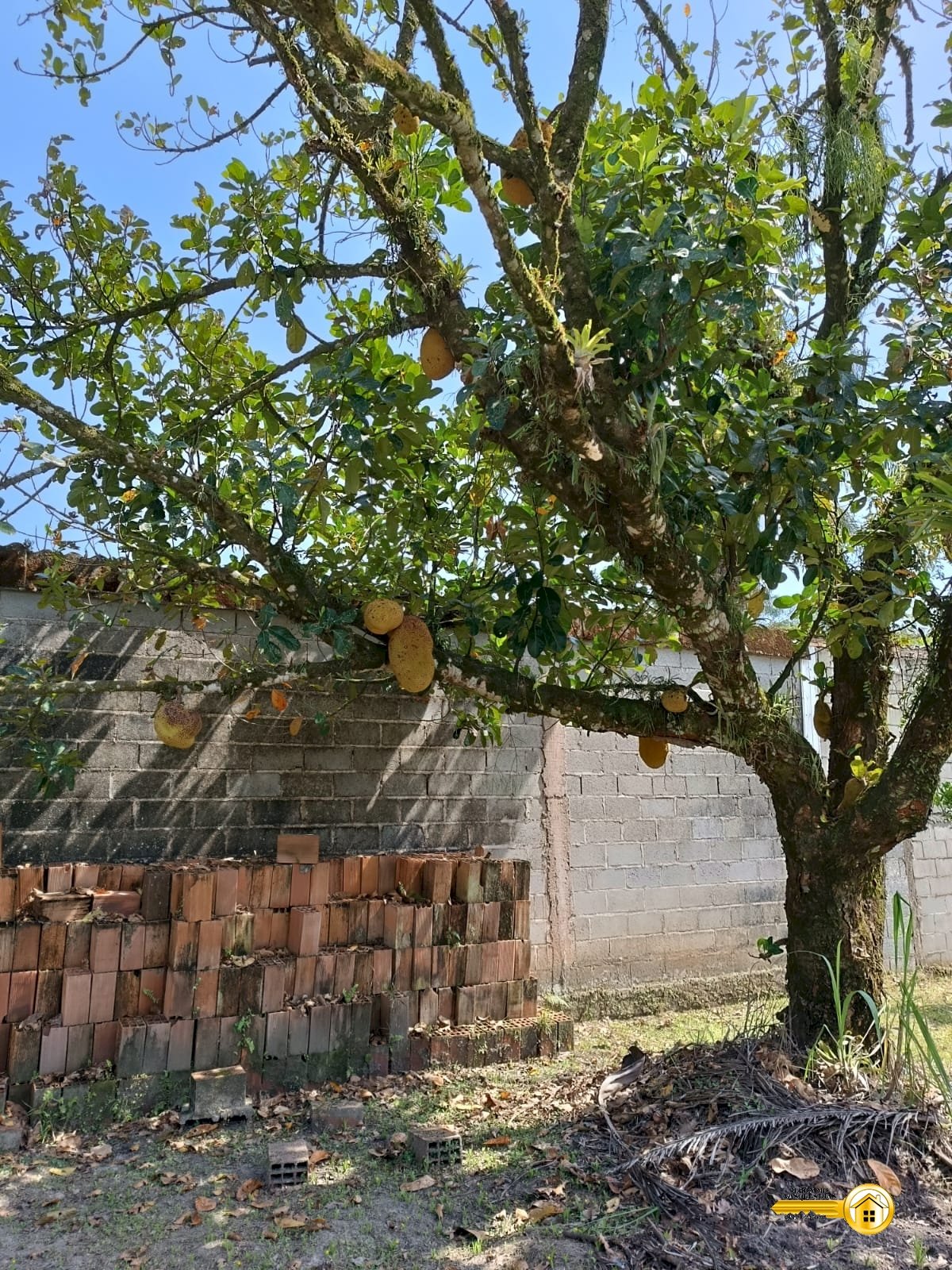 Imagem imóvel Chácara