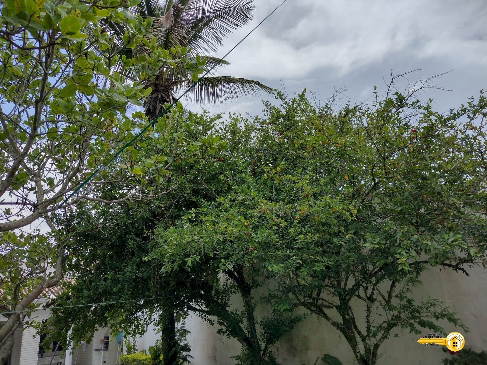 059acf1263149372d7a49141295a8ac5.jpg